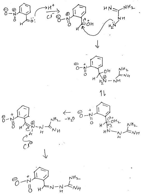 Wo HN-NH2 ZO ő tö: 2 NH D-N +2=0 NH N-NH + 0 OO -H₂O OZ+ + Z in Long NN w. IZ N HN NH IZ N Ő HEN-N EN ZI