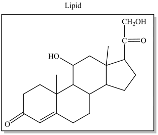 Lipid
ҫH,ОН
о
но