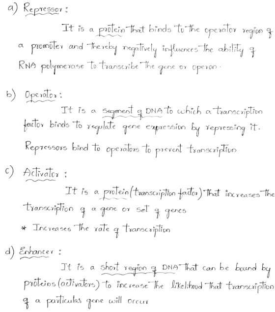 It is a Pleio that binds to the openalor vegion ooDler i Ve ences lhe bso l esny Yeprees.rg it e qene exion CYeases The ene5