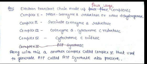 nEn trans port chain made up tibrie Complexes Complex IL -Succinate coen 재 m e sueducase Comple sz e c oxidase Along wo1+hth込