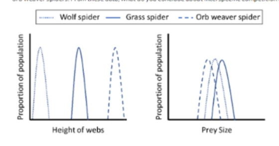 ...... Wolf spider — Grass spider --- Orb weaver spider Proportion of population Proportion of population Height of webs Prey
