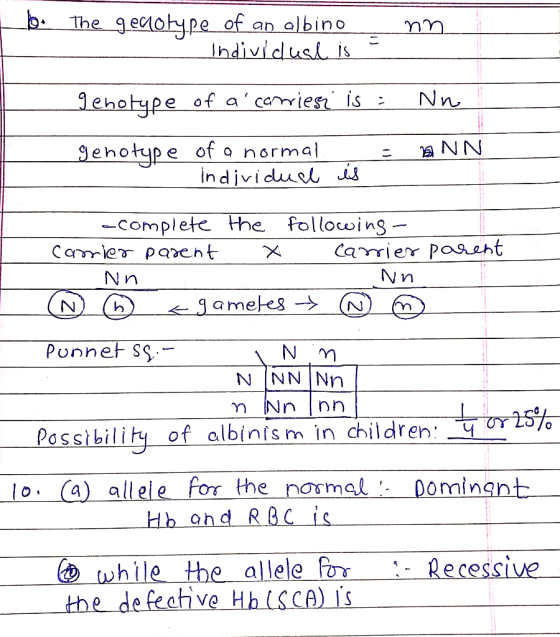 b: The geotype of an albino ว่า eho ehotup e of normal in dividuuet is -complete the following Carrie Poaeht N n N n Possibil