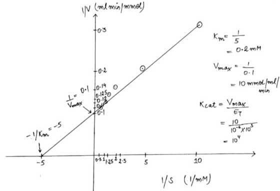 (poucalon yue) all Km- t 1 = 0.2 mm +0-2 0 Vmax = 10 mmol/mel Keat= Vmax 0:1 0.1 10-14 I 10:14 eksto may t Et = 10 10x103 Ite