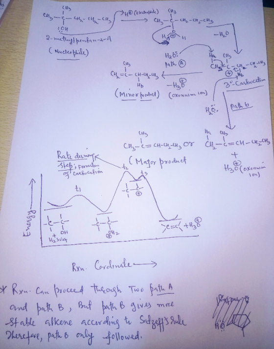 CHY 4 CEkchapade) CH2 2-metuy petan-a- (ucleapide) -40 на 41 Си Path 3Casbocstion (Mmer frodect)Coxenum ) Path b CH CH-C or C