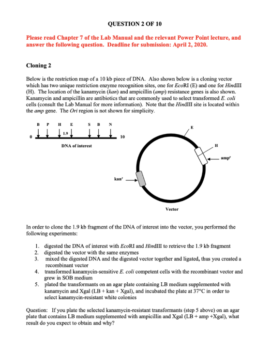 QUESTION 2 OF 10 Please read Chapter 7 of the Lab Manual and the relevant Power Point lecture, and answer the following quest