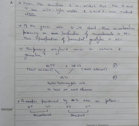 A. y trom the question it is T are wild a type alleles alloles. evident that & hand t the are it and mufant → If the genes ar