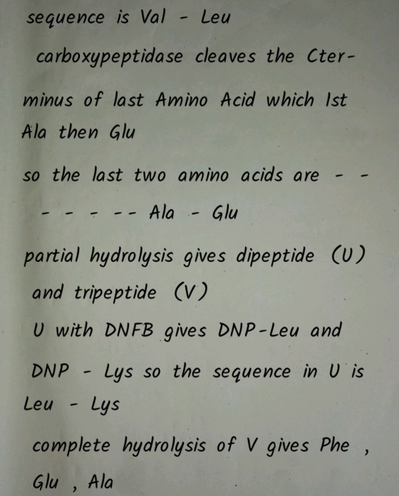 sequence is Val - Leu carboxypeptidase cleaves the Cter- minus of last Amino Acid which ist Ala then Glu so the last two amin
