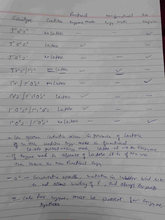 Genotype Condihan finctural enzyme made untunchinal brzy. made no enzure ergy. made It otzt no Lactose ... Poczt Lactose Toca