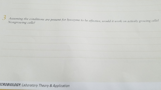 3 Assuming the conditions are Nongrowing cells? present for lysozyme to be effective, would it work on actively growing cells