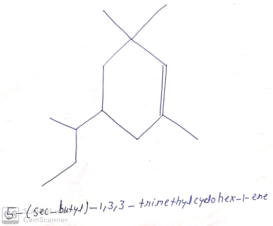 53-(sec-butyl)-1,3,3 – trimethylcydo hex-l-ene CamScanner