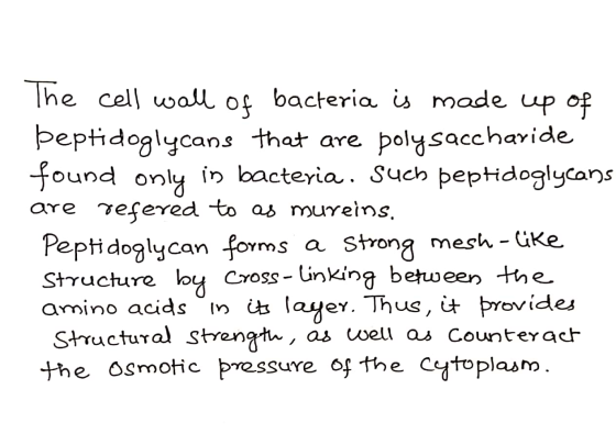 The cell wall of bacteria is made up of beptidoglycans that are polysaccharide found only in bacteria. Such peptidoglycans ar