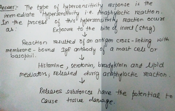 is the Anseer- The type of hyperse nsitivity response In the procesa ersenstvity ie. Anabh yloctic reauto n o this htperensii
