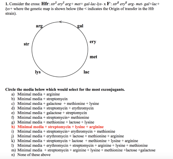 1. Consider the cross: Hfr: str erys arg+ met+ gal-lac-lys- x F:stre eryk arg-met-gal+lac+ lys+ where the genetic map is show