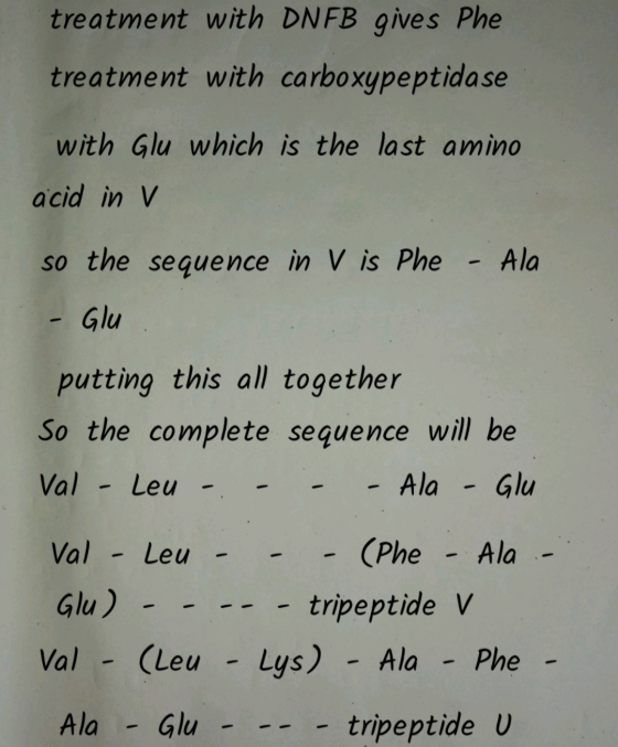 treatment with DNFB gives Phe treatment with carboxypeptida se with Glu which is the last amino acid in v - Ala so the sequen