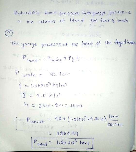 Hydrostatic blood in the column pressure is the gauge pressure of blood bw feet & brain, The gauge presso re at the heart of
