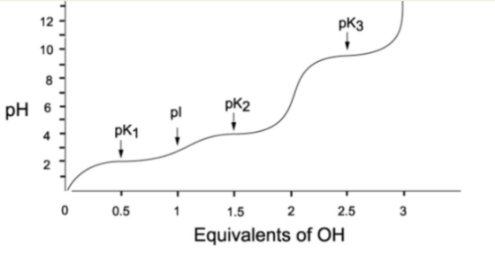 12 pk3 10 8 pH 6 pk2 pl 4 pk1 N 0 0.5 3 1.5 2 2.5 Equivalents of OH