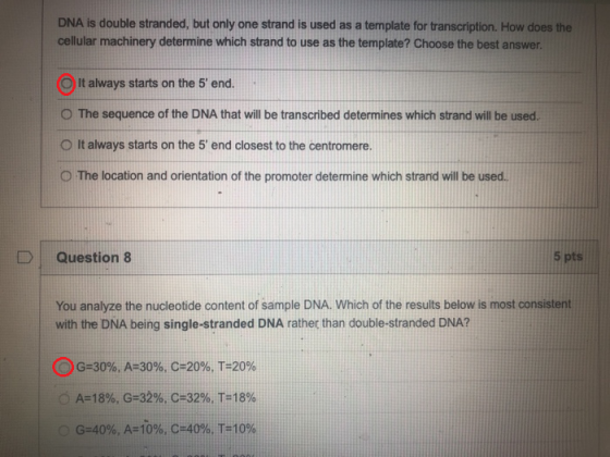 DNA is double stranded, but only one strand is used as a template for transcription. How does the cellular machinery determin