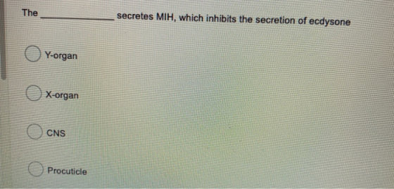 The secretes MIH, which inhibits the secretion of ecdysone Y-organ X-organ CNS Procuticle