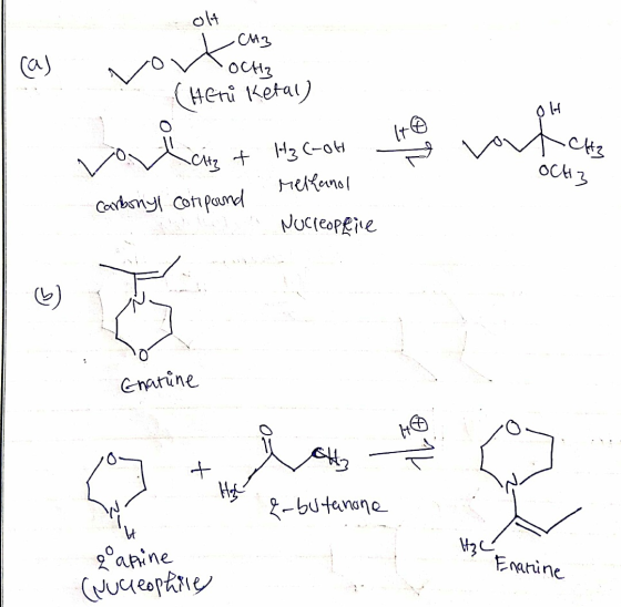 وان . Сму on OCH (Heni Ketal) worlar + H3COh Holy routch + H₂C-OH relkanol -CH3 осіз Carbonyl compound Nucleophile Enatine {-