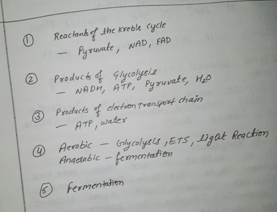 Reachons the krebk cycle yrwate, NAD, FAD colygig ATP, water @ Aeabiclcolyss JETS, Ligat Reacbion Anaerobic