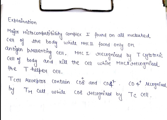 Explaination Major Histo compatibility complex I found on all nucleated cell of the body while MHC IL found only on antigen p