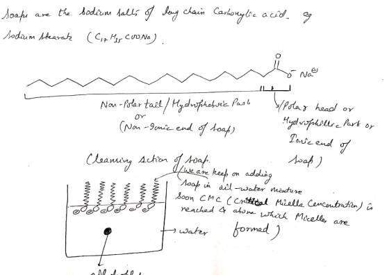 og Soaps are the todium Stearate sodium salts of leng chain Carbonylic acid (Calles Coona). o na Non-Polar tail / Hydrophobsi