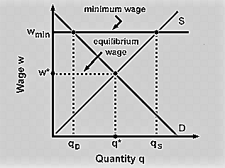 mintmum wage Wmin cquitibrium/ wage q s Quantityq QD