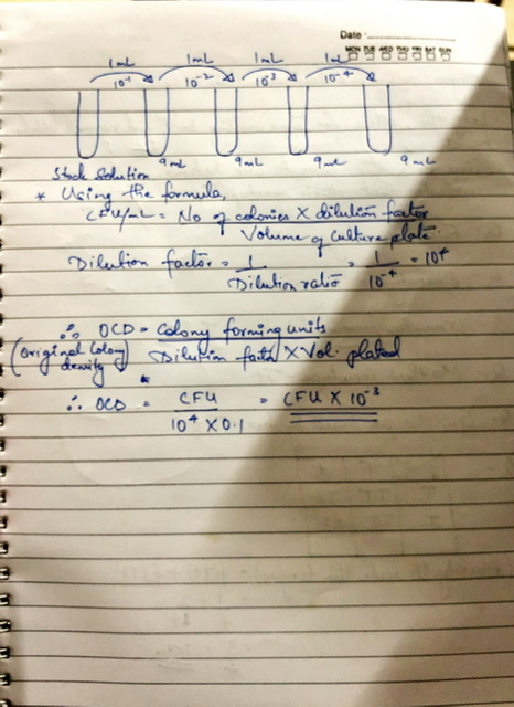 Date 1010 • Stoch solution * Using the formule, (Eupal of colonies X dilution factor Volume of Culture alate Dilution factor