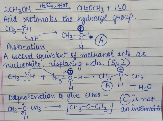 Acid urtonatu the bydrangt b (A Phetonatian A Aecond eqivalont o4 methanol acts as