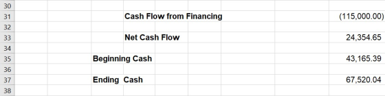 30 31 Cash Flow from Financing (115,000.00) 32 33 Net Cash Flow 24,354.65 34 35 Beginning Cash 43,165.39 36 37 Ending Cash 67