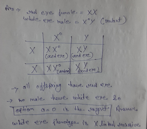 Ang geed eye deed eye female - XX white ere male axoy (mulant) Xºy IXXO XY Cored eye) (red exe) X y all offerring have seed e