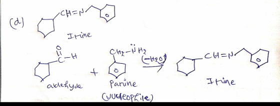 CHEN Irine C CH-NH₂ x CH=N h o use on the eye ur Itine aldehyde panine (Jucleophile)