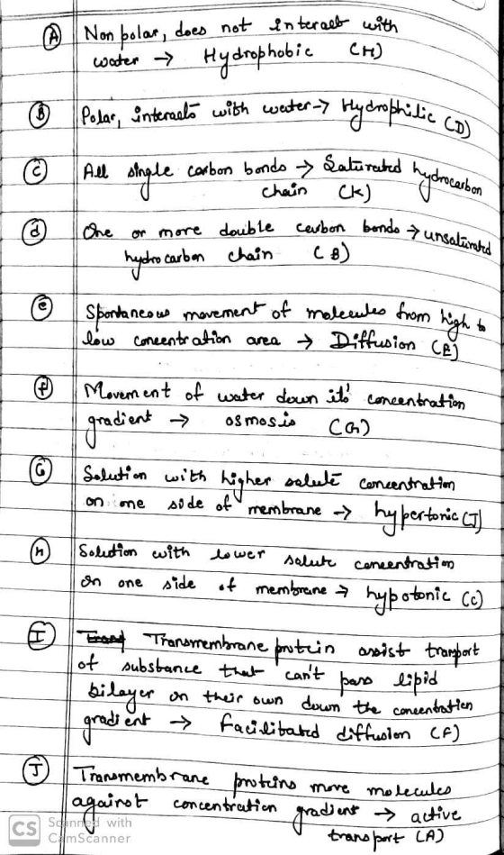 - Non polar, does not interact with water - Hydrophobic CH) - - Polar, interacts with water-> bydrophilic Con All single carb