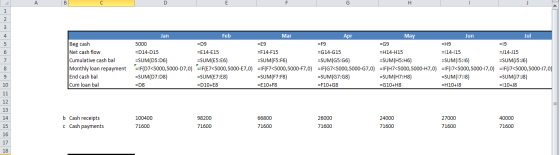 A = 19 Beg cash Net cash flow Cumulative cash bal Monthly loan repayment End cash bal Cum loan bal Jan Feb Mar Apr May Jun Ju