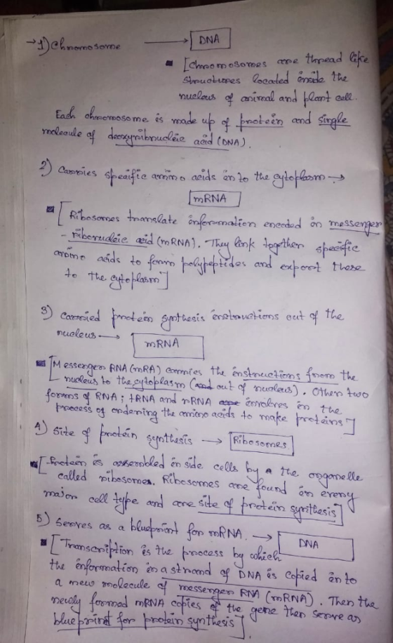 DNA nemo Sonrne re thread ake chreomesoroes Streuctiures localed Cnse tte nuelaus of caninal and lant Cell is made f tpmoteen