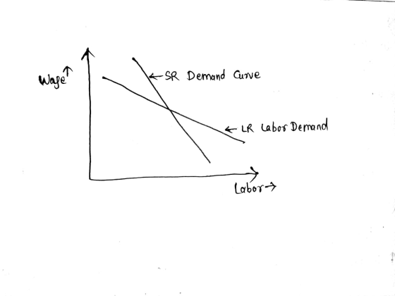 * SR Demand Curve & LR Labor Demand Labor