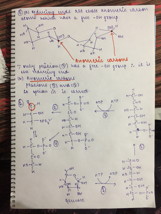 (a) Redicima nds ae those anovnesie canonm atons whth nawe a ue -ok g1ep v) H но H и ио HO OH H и но HO Anomesie canoons uy p