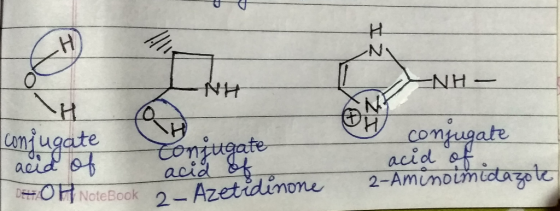 NH- NH compugate acid af omugate tonjugate acid f DOF NoteBook2-Azetidinone 2-Aminoimidtagote