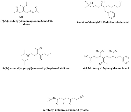 CICIŅH2 SH (E)-6-(sec-butyl)-7-mercaptonon-3-ene-2,8- dione 7-amino-6-benzyl-11,11-dichlorododecanal HO HO Ο Η 4,5,8-triformy