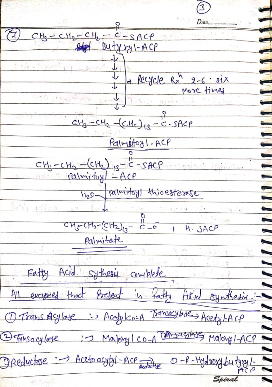 3 Date...... 6 CH - CH₂ - CH₂ - C-SACO la Butyry I-ACP T t La Recycle R 2-6 six More timed T i Cliz -CH2-(C142 343 -Ć-SACP Pa