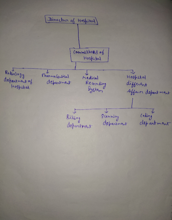 Director of Hospitall Commitlees of Hospital Podielogy defartnont of Hospital Pharma Ceutical department Medical different Af