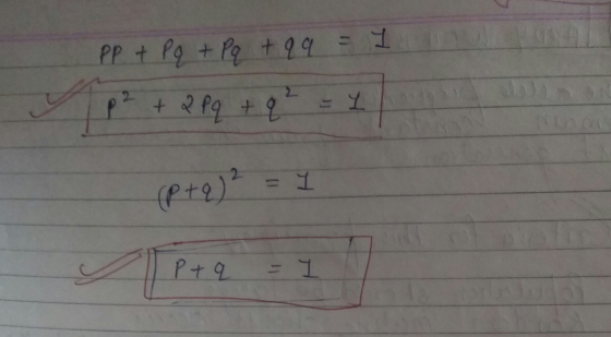 PP + Pq + pq + q9 = I mawar p² + 2 pq + q ² = 1 (p+q)2 = 1 P+ 9 = 1