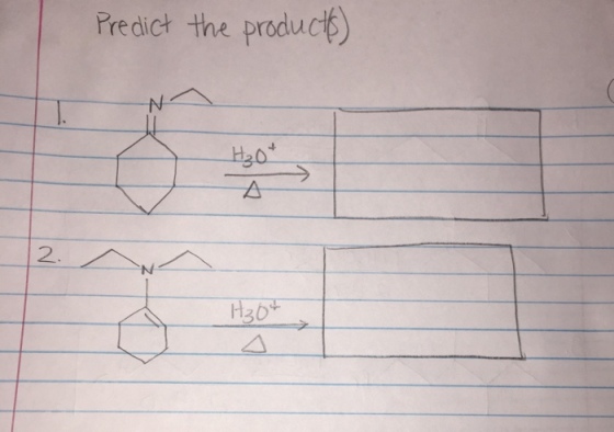Predict the product H20