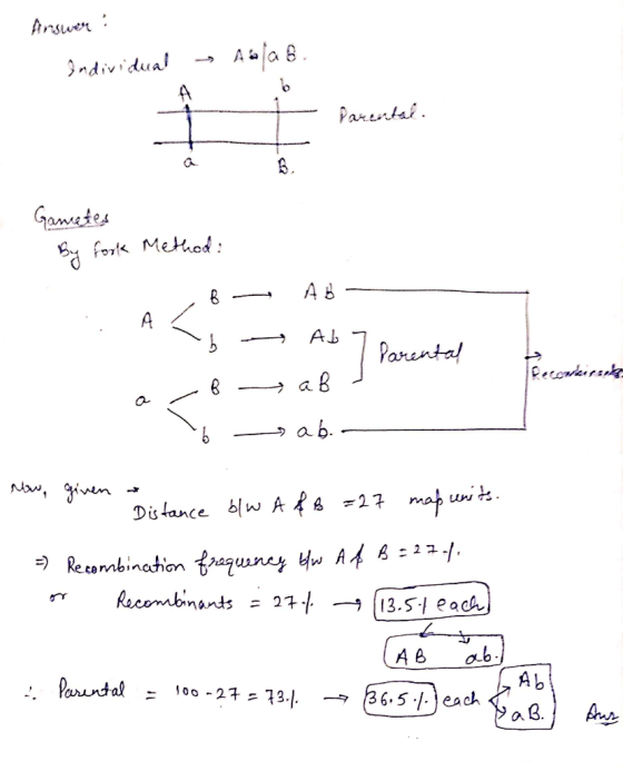 Answers : Individual - Aala. Parental Gametes By fork Method: - R AB A b Ab 7 Parental a b ar Į Parental 46 -9ab. - now, give