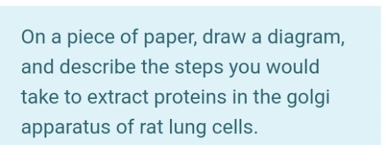 On a piece of paper, draw a diagram, and describe the steps you would take to extract proteins in the golgi apparatus of rat