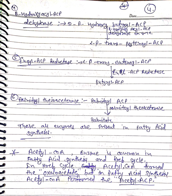 Date.. (4 B-Hydroxy acy LACP olehydbase 30-B- Hydəoxy, butyryl-Ace (B-Hyelroxy Acyl-Ace Adeholrase engre 2-ß - Hang- pytenoyl
