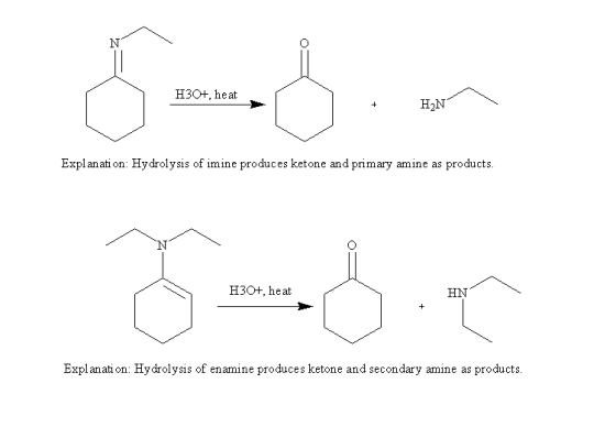 H30+, heat H2N Explanati on: Hydrolysis of imine produces ketone and primary amine as products. H30+, heat HN Explanati on: H