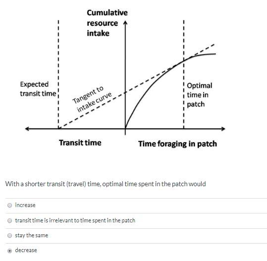 Cumulative resource intake Expected transit time Optimal time in patch Tangent to intake curve Transit time Time foraging in