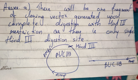 Aswer. a) There will be one fragment of cloning vector generated upon complete digestion with Hlind II find. II digestion sit
