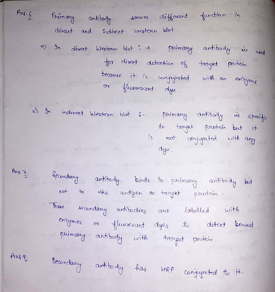 Ans. 6 Prumany antibody function in Teemany antibody seves different direct and indirect western blot. In direct besteren blo